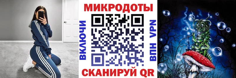 Галлюциногенные грибы Psilocybine cubensis  Иннополис 